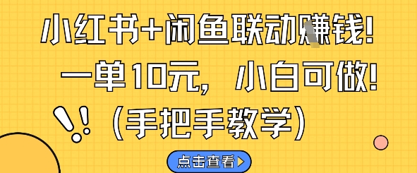 小红书+闲鱼联动挣钱，一单10元，小白可做-圆梦资源网