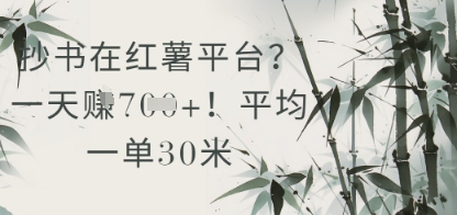 抄书在小红薯平台？平均一单30米，一天收益几张！-圆梦资源网
