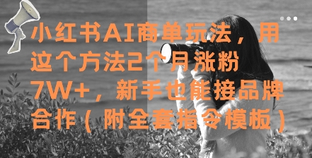 小红书AI商单玩法，用这个方法2个月涨粉7W+，新手也能接品牌合作(附全套指令模板)-圆梦资源网