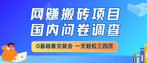 网创搬砖项目，国内问卷调查，小白轻松上手，一天三四张的也不难，干就完了【揭秘】-圆梦资源网