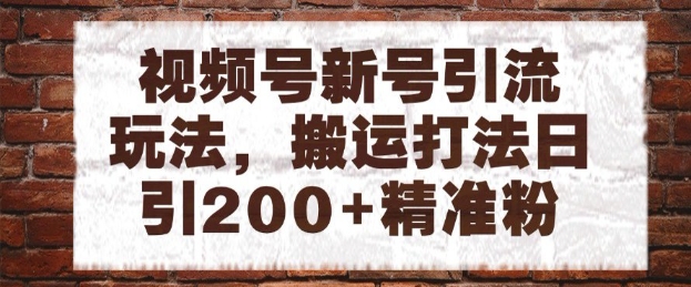 视频号新号引流玩法，搬运打法日引200+精准粉，可矩阵放大【揭秘】-圆梦资源网
