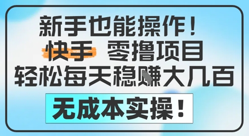 新手也能操作，快手零撸挣米，轻松每天挣2-5张，完全无成本-圆梦资源网