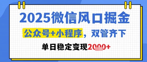 2025微信风口掘金，公众号+小程序双管齐下，单日稳定变现1k+【揭秘】-圆梦资源网