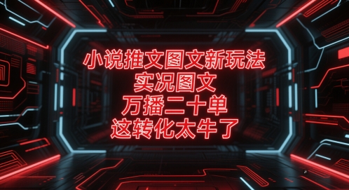 小说推文图文新玩法，实况图文，万播二十单，这转化太牛了！-圆梦资源网