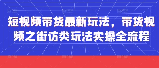 短视频带货最新玩法，带货视频之街访类玩法实操全流程-圆梦资源网