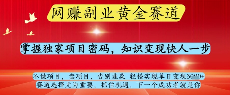 网创副业黄全赛道，掌握独家项目密码，知识变现快人一步，告别韭菜轻松实现单日变现1k+【揭秘】-圆梦资源网