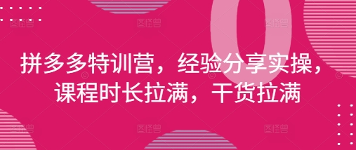 拼多多特训营，经验分享实操，课程时长拉满，干货拉满(更新25年4月)-圆梦资源网