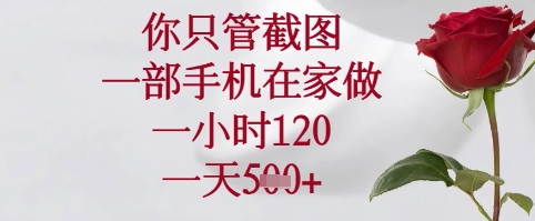 你只管截图，一部手机在家可以做，一小时120.一天5张+【揭秘】-圆梦资源网
