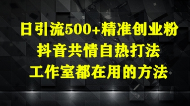 日引流500+精准创业粉，抖音共情自热打法，工作室都在用的方法-圆梦资源网