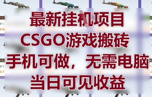 最新挂G项目，CSGO游戏搬砖，手机可做，无需电脑，当日见收益【揭秘】-圆梦资源网