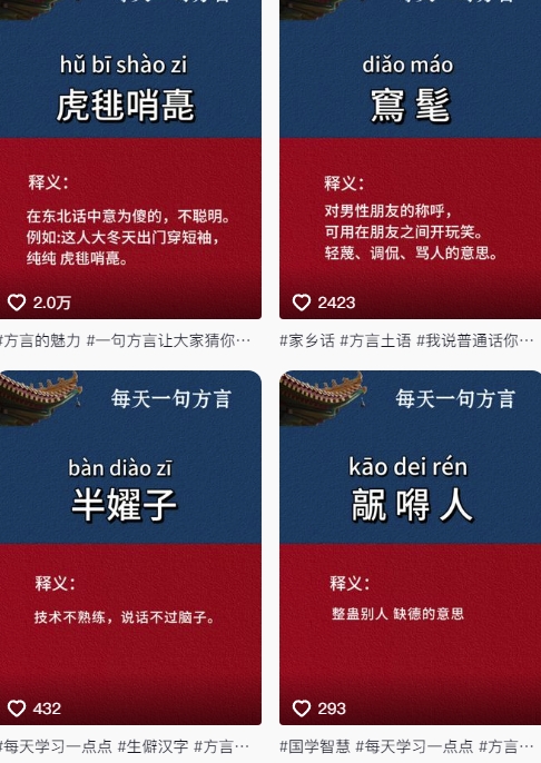 抖音最新涨粉玩法，图文方言暴力涨粉实操，126作品涨粉11W-圆梦资源网