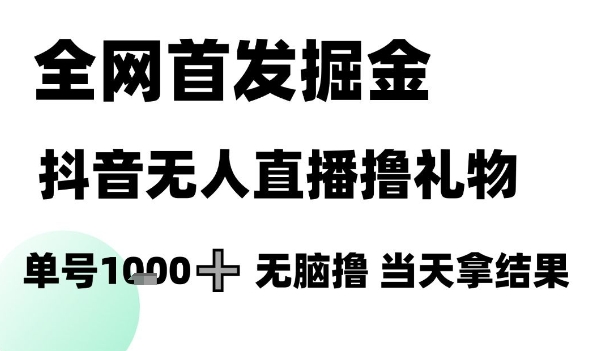 全网首发掘金抖音无人直播撸礼物，单号1k +无脑撸，当天拿结果【揭秘】-圆梦资源网