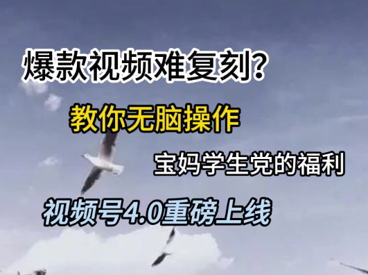 视频号4.0重磅上线，爆款视频难复刻？教你无脑操作宝妈学生党的福利【揭秘】-圆梦资源网