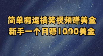 简单搬运搞笑视频挣美金，新手一个月入1k美金-圆梦资源网