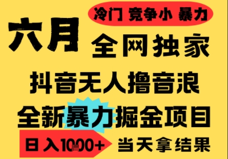 25年6月高爆抖音无人直播最新撸音浪掘金项目，小白可做，无脑日入1k+，门槛低可批量矩阵【揭秘】-圆梦资源网