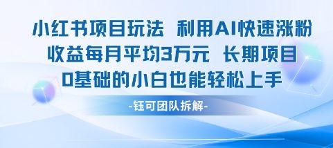适合小白操作的小红书新项目，利用AI快速涨粉，收益每月平均1W+-圆梦资源网
