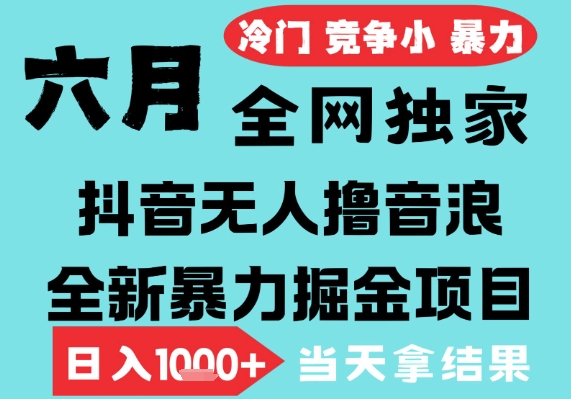 2025年6月高爆抖音无人直播最新撸音浪掘金项目，无脑日入1k+，低门槛小白可做，可矩阵放大【揭秘】-圆梦资源网