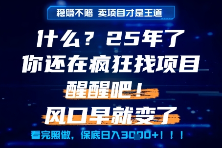 什么？25年你还在疯狂找项目做，醒醒吧，看完这些你全都懂了！【揭秘】-圆梦资源网