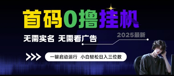 首码0撸挂G项目，无需实名无需看广告 一键启动运行，小白轻松日入三位数【揭秘】-圆梦资源网