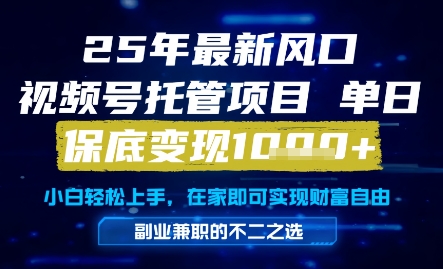 25年最新风口，视频号托管项目，单日保底变现1k+，手把手教学【揭秘】-圆梦资源网