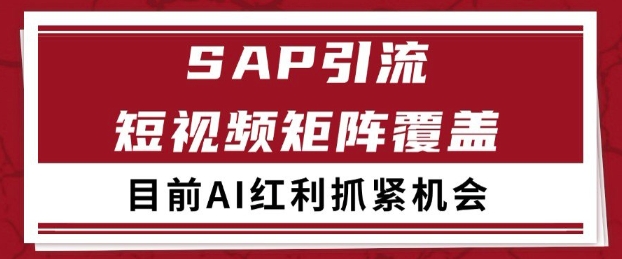 小红书某音sap赛道引流获客 自热矩阵日引200+【揭秘】-圆梦资源网