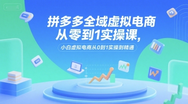 拼多多全域虚拟电商从零到1实操课，小白虚拟电商从0到1实操到精通-圆梦资源网