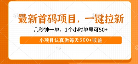 最新首码项目，操作最简单，收益高，一键拉新，1个小时单号可50+，小项目认真做每天5张+收益【揭秘】-圆梦资源网