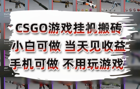 CSGO游戏挂G搬砖，小白纯手机即可操作，不用电脑打游戏，日入3张+，副业网创项目【揭秘】-圆梦资源网