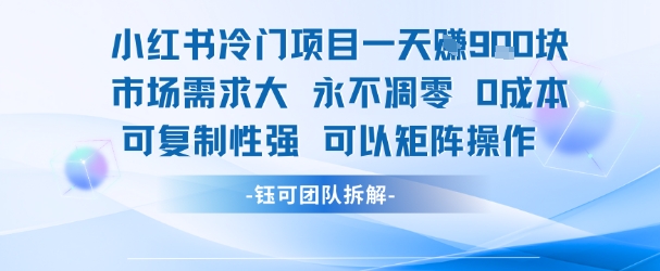 小红书冷门项目一天收益9张，市场需求大，0成本，可复制性强可以矩阵操作-圆梦资源网