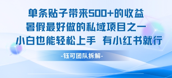 单条贴子带来5张的收益，暑假最好做的私域项目之一，小白也能轻松上手，有小红书就行-圆梦资源网