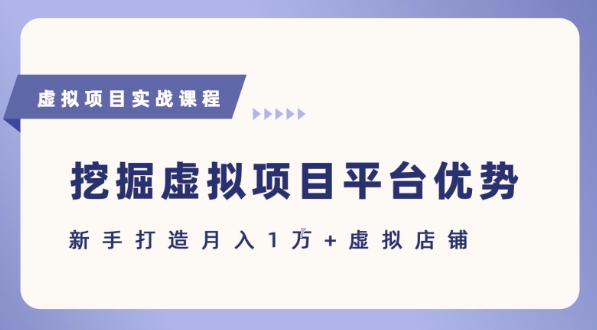 抓住虚拟项目各平台优势，新手轻松月入1W+(给出具体建议)-圆梦资源网