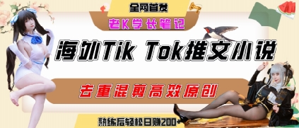 海外tiktok小说推文暴力项目，高停留率，高转化率，上手后一天搞顿饭钱不是问题-圆梦资源网