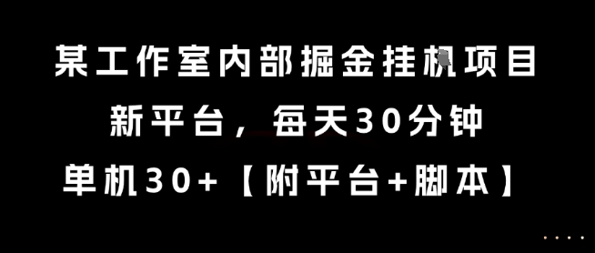 某工作室内部掘金挂G项目，新平台，每天30分钟，单机30+【揭秘】-圆梦资源网