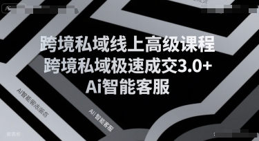 跨境私域线上高级课程，跨境私域极速成交3.0+Ai智能客服-圆梦资源网