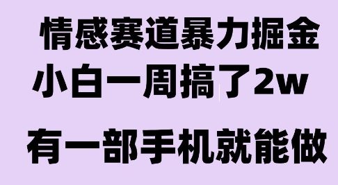 情感暴力掘金项目，新人操作一周挣了2W，长期稳定小白可做【揭秘】-圆梦资源网