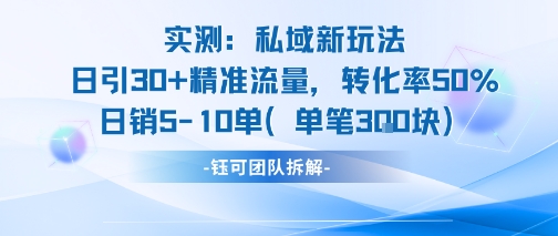 实测私域新玩法日引30加精准流量转化率50%日销5-10单每笔3张-圆梦资源网