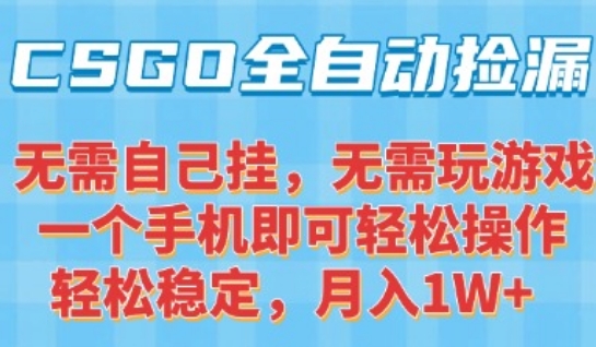 CSGO自动捡漏项目，最新独家玩法，一个手机可操作，新手小白轻松月入1W+，操作简单易上手【揭秘】-圆梦资源网