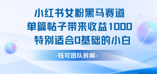 小红书女粉黑马赛道单篇帖子带来收益1k+，特别适合0基础的小白-圆梦资源网