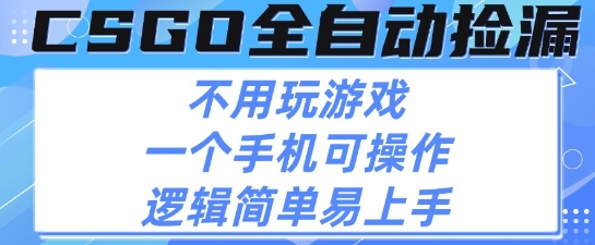 CSGO自动捡漏项目，最新独家玩法，不用挂G不用玩游戏，一个手机即可操作，新手小白轻松月入1W+【揭秘】-圆梦资源网