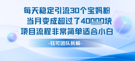 每天稳定引流30个人 当月变成超过了4个W项目流程非常简单适合小白-圆梦资源网