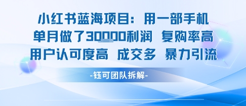 小红书蓝海项目，一部手机单月做了3W利润，小白也能月入过1W用户认可度高成交多-圆梦资源网