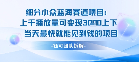 小众蓝海赛道项目：当天变现1k+适合新手操作 +适合长期玩-圆梦资源网