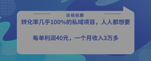 转化率最高的私域项目，每单利润40-50米，月入过1w-圆梦资源网