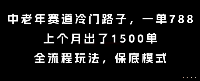 中老年赛道冷门路子，一单788，上个月出了1500单，全流程玩法，保底模式【揭秘】-圆梦资源网