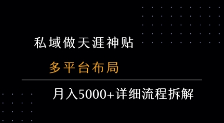 私域做天涯神贴 多平台布局 月入5k+详细流程拆解-圆梦资源网