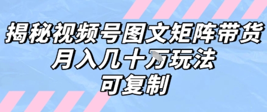 解密视频号图文矩阵带货，月入几个W的打法，可复制-圆梦资源网