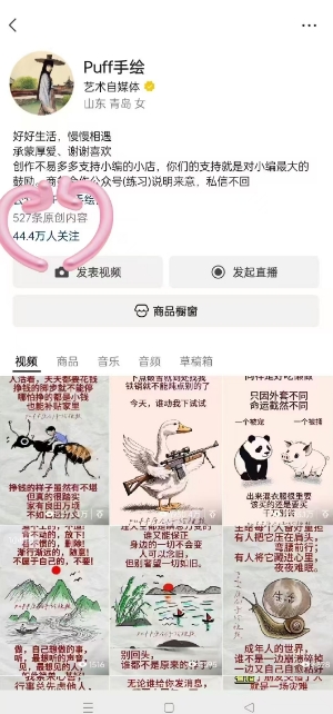 Puff手绘视频号分成项目，三天过分成计划，简单易上手，适合新手-圆梦资源网