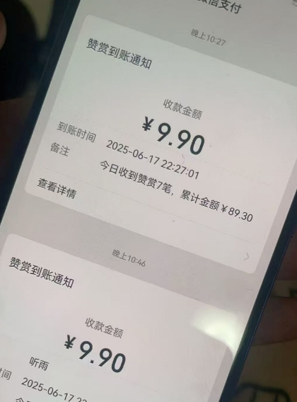 二次元男粉快速变现项目，私域卖虚拟产品，百分利润-圆梦资源网