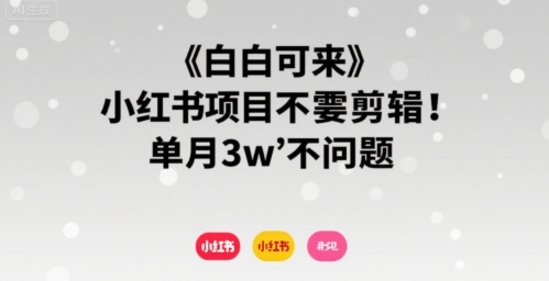 小白可来 小红书项目不需要剪辑 单月3w不是问题-圆梦资源网