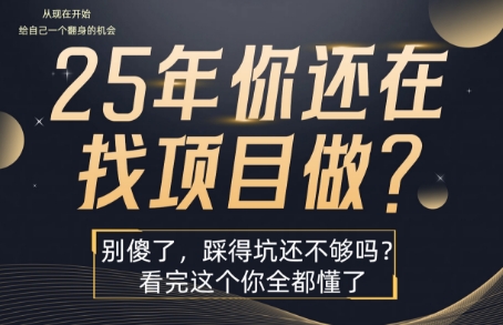 25年，你还在疯狂的找项目吗？别傻了，看完这个你都懂了【揭秘】-圆梦资源网
